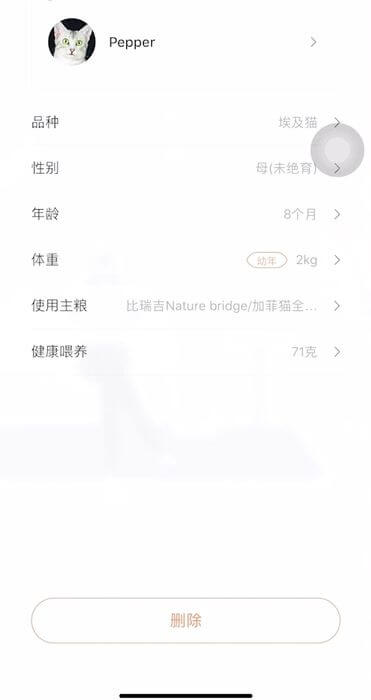 Xiaomi Furrytail Pet Smart Обзор: Умная кормушка для домашних питомцев